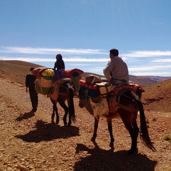 Trekking vom Hohen Atlas zur Atlantikküste Trekking vom Hohen Atlas zur Atlantikküste