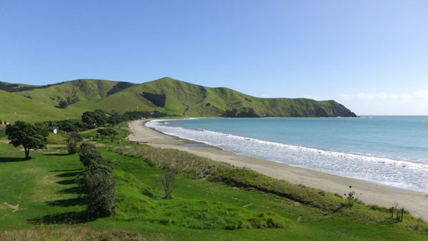 Dating neuseeland