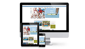 Neue Frosch Website