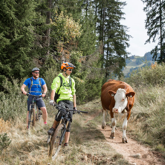 MTB-Transalp & Biken in Saalbach Hinterglemm MTB-Transalp & Biken in Saalbach Hinterglemm