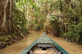 Waldschutz in Peru