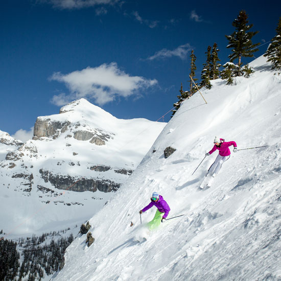 Deep Powder Skisafaris Deep Powder Skisafaris