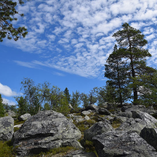 Auf dem schwedischen Königspfad Auf dem schwedischen Königspfad