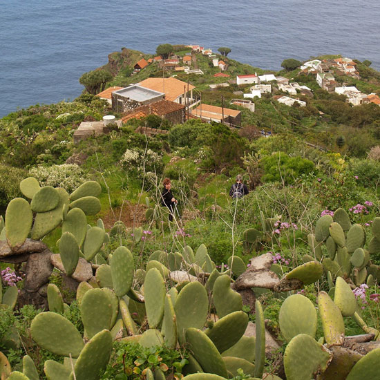 Trekking & Relaxen auf La Palma Trekking & Relaxen auf La Palma