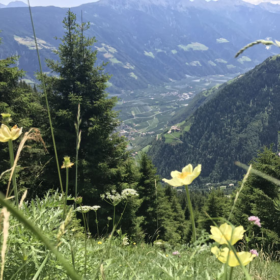 Trekking-Transalp mit kurzen Etappen von Meran zum Gardasee Trekking-Transalp mit kurzen Etappen von Meran zum Gardasee