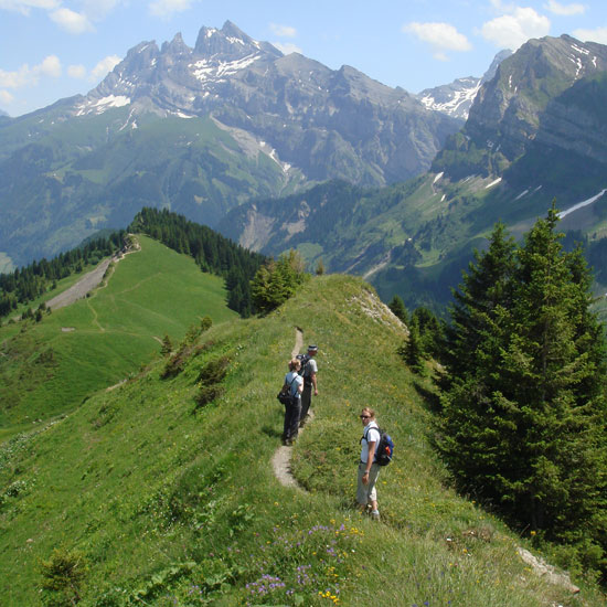 Trekking-Transalp nach Südtirol Trekking-Transalp nach Südtirol