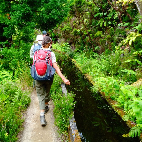 Single-Wanderreise auf São Miguel Single-Wanderreise auf São Miguel