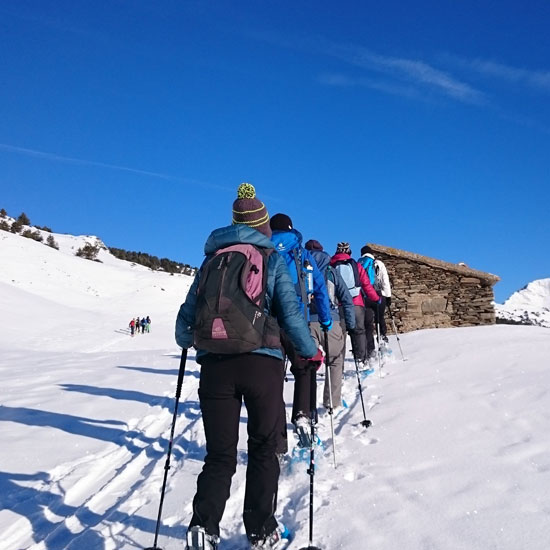 Single Aktivreise im Winter Single Aktivreise im Winter