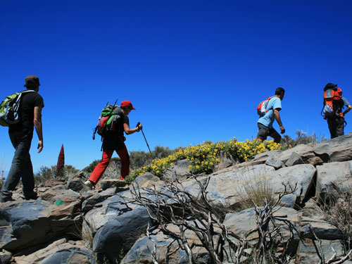 single wanderurlaub kanaren