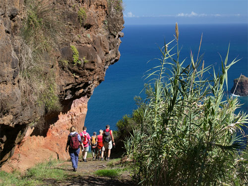 single urlaub yoga wandern